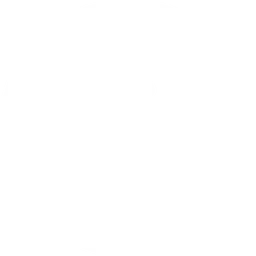 Frigorifico Nossa Senhora Aparecida