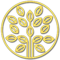 Agropecuaria Ype Amarelo LTDA