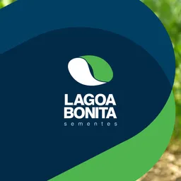 Agropecuaria Lagoa Bonita Administracao E Participacao