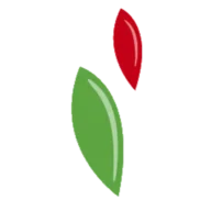 Dez Alimentos