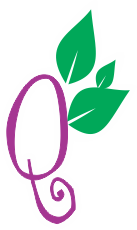 Qdelicia Frutas