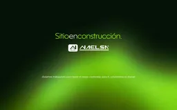 Naelsa SA de CV