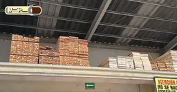 Madereria Pichonchas SA de CV