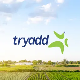 Tryadd Sapi de CV