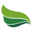 Vitae
