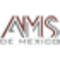 Ams de Mexico Especialistas En Plafones Y Puertas S de RL de CV