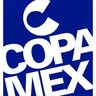 Comercializadora Copamex SA de CV