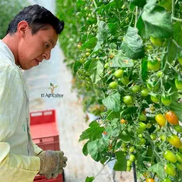 El Agricultor Agroquimica