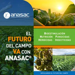 Anasac Mexico S de RL de CV
