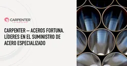 Crs Mexico Investment Holdings S de RL de CV