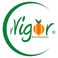 Fertilizantes Vigor SA de CV