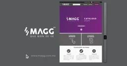 Electro Mag SA de CV