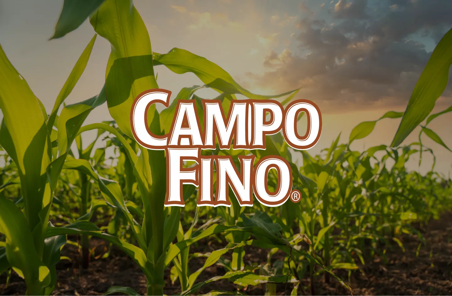 Campo Fino SA de CV