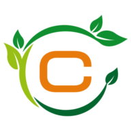 Comaplay Mayoreo SA de CV