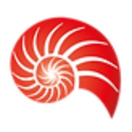 Wirksankeit Solutions SA de CV
