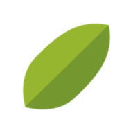 Hoja Nativa