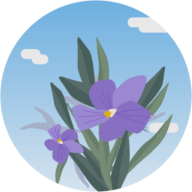 Flores Y Plantas de Calidad Sapi de CV
