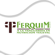 Ferquim SA de CV