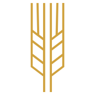 Grupo Trimex del Sureste SA de CV