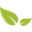 Agroservicios Nacionales Sapi de CV