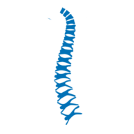 Spine Implants SA de CV
