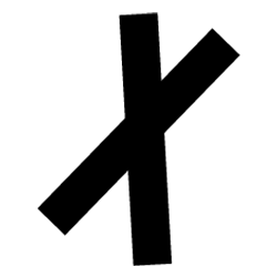 Avi Glass