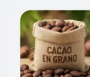 Cacao