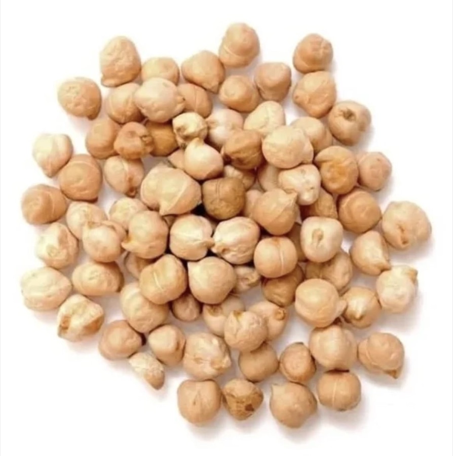 Garbanzo