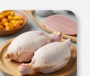 Pollo