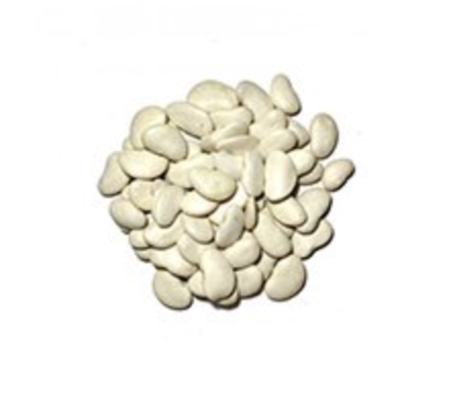 Poroto Bolita